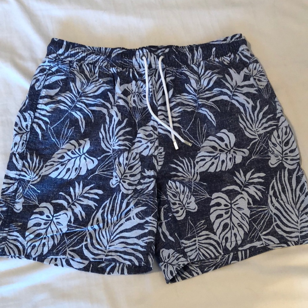 Brooks Brothers Swim Trunks